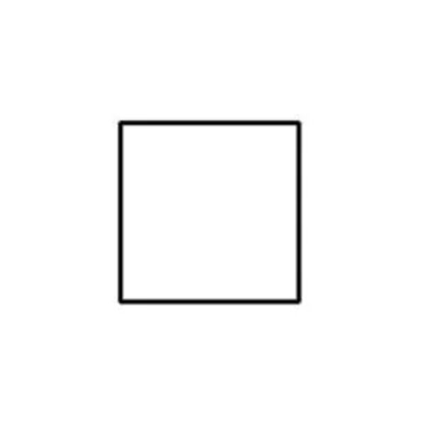 Blank 2" Square Weather-Resistant Label, White Background Thumbnail