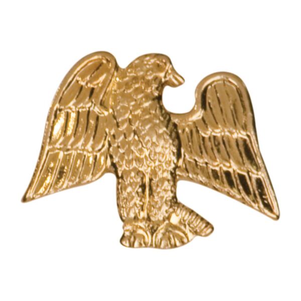 Eagle Letterman Jacket Chenille Lapel Metal Pin Thumbnail