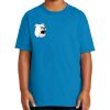 Youth Ultra Cotton ® 100% Cotton T Shirt Thumbnail