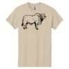 Heavy Cotton™ 100% Cotton T-Shirt Thumbnail