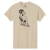 Heavy Cotton™ 100% Cotton T-Shirt Thumbnail