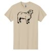 Heavy Cotton™ 100% Cotton T-Shirt Thumbnail