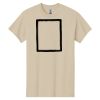 Heavy Cotton™ 100% Cotton T-Shirt Thumbnail