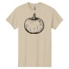 Heavy Cotton™ 100% Cotton T-Shirt Thumbnail
