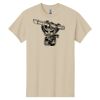 Heavy Cotton™ 100% Cotton T-Shirt Thumbnail