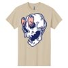 Heavy Cotton™ 100% Cotton T-Shirt Thumbnail