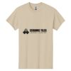 Heavy Cotton™ 100% Cotton T-Shirt Thumbnail