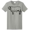 Ladies Ultra Cotton ® 100% Cotton T Shirt Thumbnail