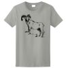 Ladies Ultra Cotton ® 100% Cotton T Shirt Thumbnail